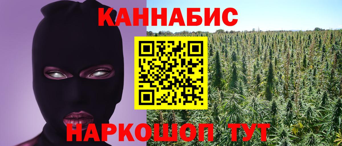 Бошки Шишки семена  Канабис сатива  Пыть-Ях  Вход с VPN 